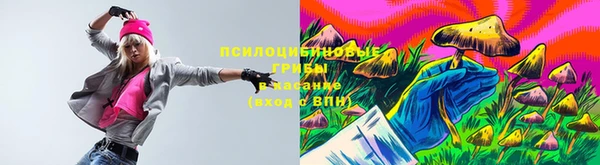 мдма Богородицк