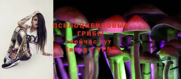 наркотики Богородск