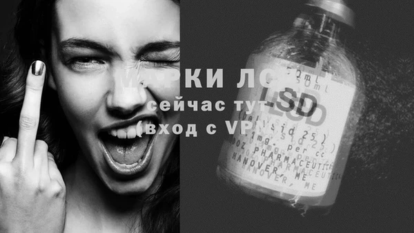 гашик Сосновка